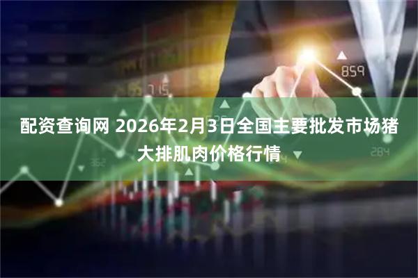配资查询网 2026年2月3日全国主要批发市场猪大排肌肉价格行情